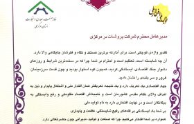 لوح تقدیر اقتصاد مقاومتی